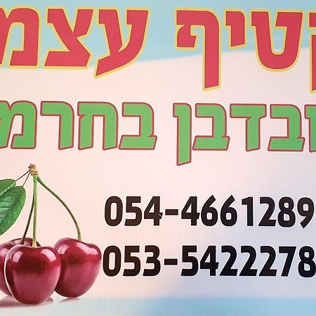צימרים בגולן דובדבן בחרמון Mas'ada Kültér fotó